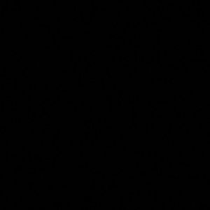 Meet your Posher, Calie